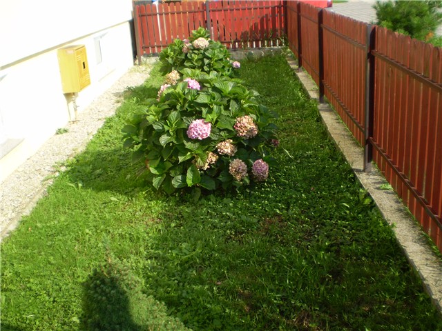 dvorište